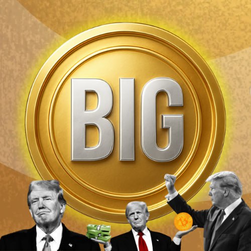 $BIG Coin Logo